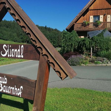Neudorf im Sausal Am Jaukhof Familie Stiendlヴィラ エクステリア 写真