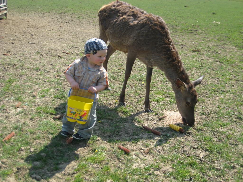 Neudorf im Sausal Am Jaukhof Familie Stiendlヴィラ エクステリア 写真